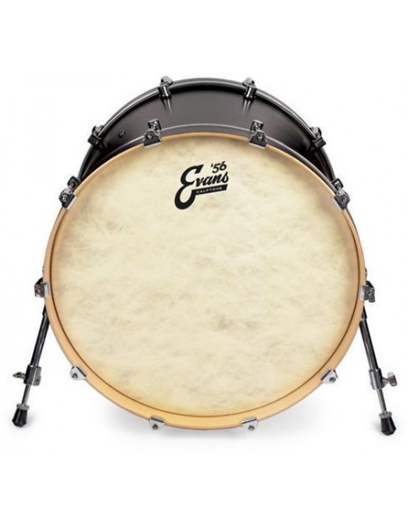 Evans Calftone 18 - Pelle Risonante/Battente per Cassa Pelli / Cerchi / Ring strumenti musicali
