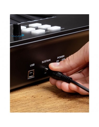 Alesis V61 MKII - Tastiera MIDI/USB 61 Tasti Master Keyboard / Controller Midi strumenti musicali