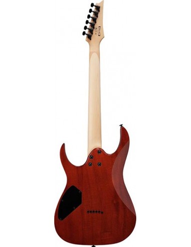 Ibanez GRGR221PA AQB Aqua Burst Chitarre Elettriche Solid Body strumenti musicali