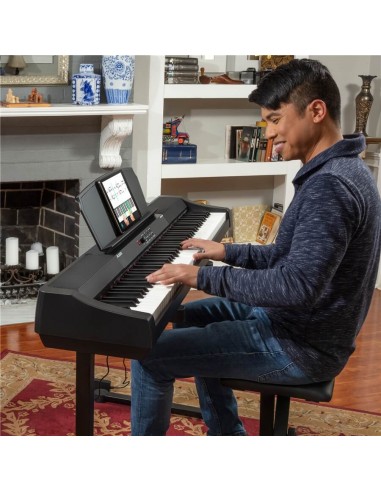 Alesis Prestige Digital / Stage Piano strumenti musicali