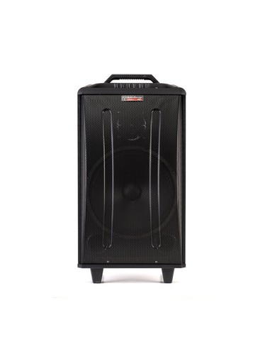 AudioDesign Cassa Audio M3 12W/L Casse / Monitor Live Attive / Passive strumenti musicali