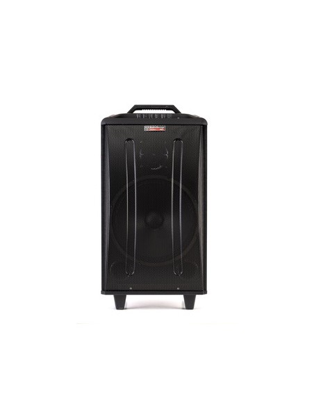AudioDesign Cassa Audio M3 12W/L Casse / Monitor Live Attive / Passive strumenti musicali