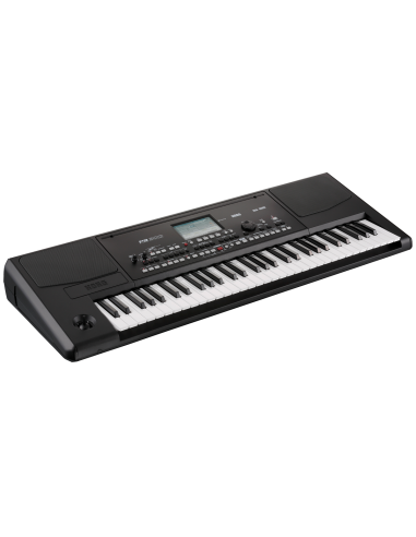 Korg PA300 - Tastiera Arranger Tastiere strumenti musicali